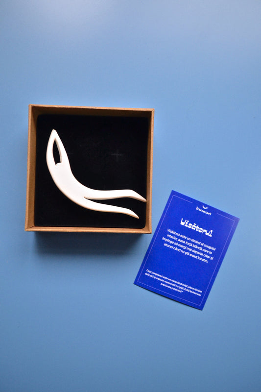 Brosa visator portelan